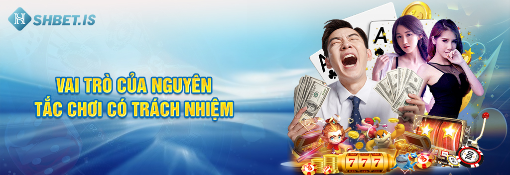 Chơi Có Trách Nhiệm Và Những Quy Định SHBET Đặt Ra Năm 2023 3 Vai trò của nguyên tắc chơi có trách nhiệm