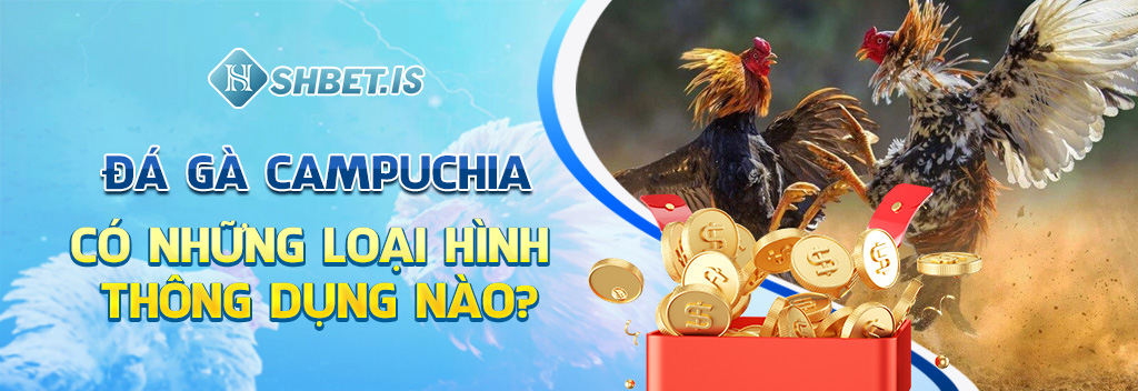 Đá Gà Campuchia - Sân Chơi Cá Cược Kịch Tính Số 1 SHBET 2 Đá gà Campuchia có những loại hình thông dụng nào?