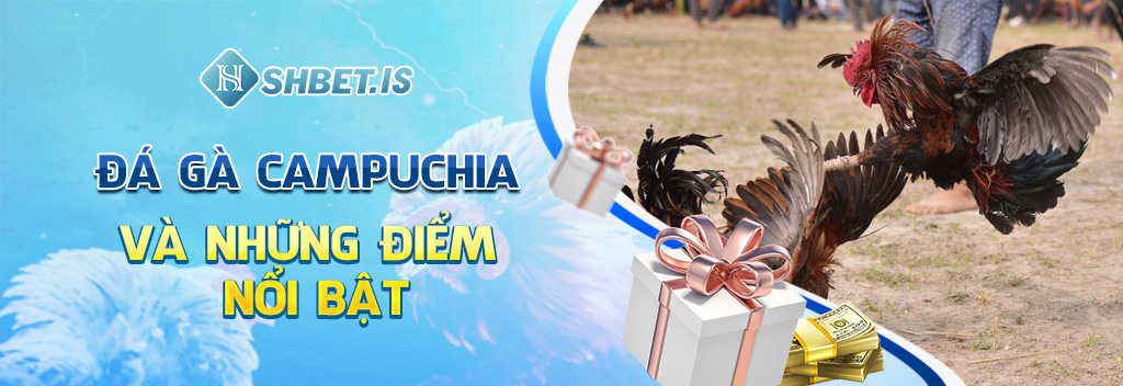 Đá Gà Campuchia - Sân Chơi Cá Cược Kịch Tính Số 1 SHBET 3 Đá gà Campuchia và những điểm nổi bật