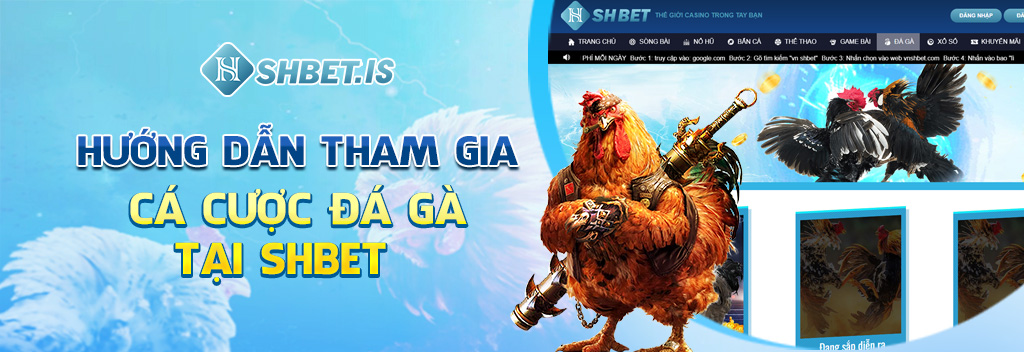 huong dan tham gia ca cuoc da ga tai shbet