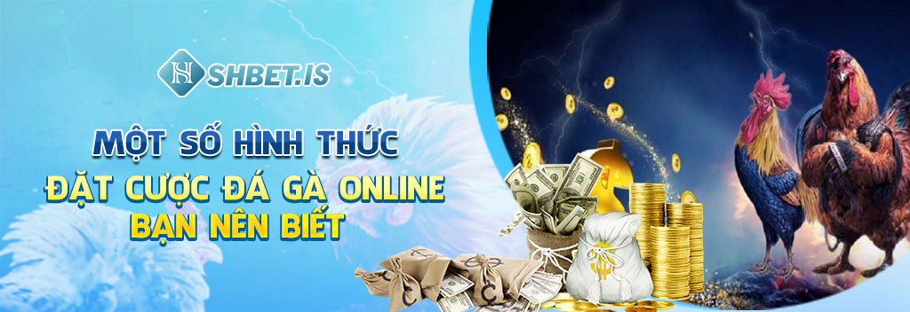 Trực Tiếp Đá Gà Và Quy Trình 4 Bước Đặt Cược Tại Các Trang Web 3 Một số hình thức đặt cược đá gà online bạn nên biết