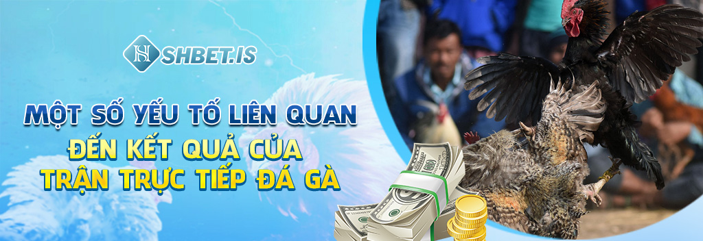 Trực Tiếp Đá Gà Và Quy Trình 4 Bước Đặt Cược Tại Các Trang Web 4 Một số yếu tố liên quan đến kết quả của trận trực tiếp đá gà