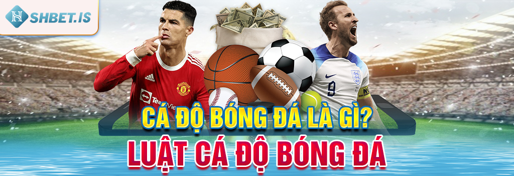 Top Trang Cá Độ Bóng Đá Uy Tín, Chất Lượng Nhất Năm 2024 1 Cá độ bóng đá là gì? Luật cá độ bóng đá