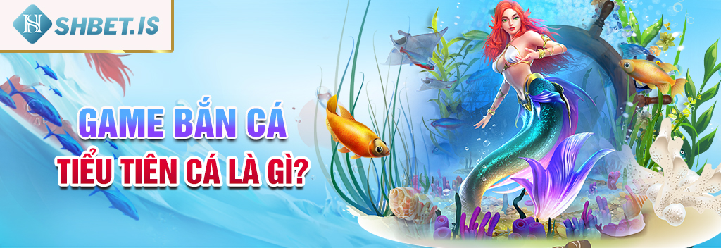 Bắn cá tiểu tiên cá - Siêu phẩm trả thưởng uy tín số 1 1 Game bắn cá tiểu tiên cá là gì?
