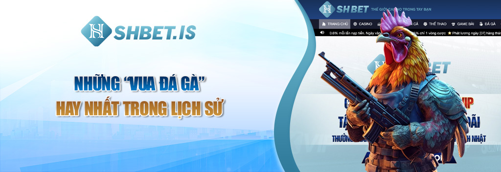Vua Đá Gà 2023 - Những Chiến Kê Đắt Giá Nhất Trong Lịch Sử 2 Những “vua đá gà” hay nhất trong lịch sử