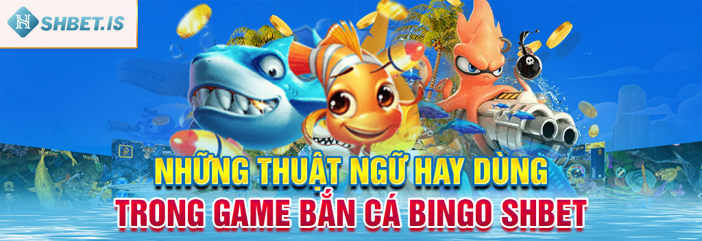 Bắn Cá Bingo SHBET - Hạng Mục Game Được Yêu Thích Nhất 3 Những thuật ngữ hay dùng trong game bắn cá Bingo SHBET