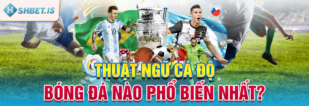 Thuật Ngữ Cá Độ Bóng Đá Nào Bạn Cần Phải Nắm Chắc? 1 Thuật ngữ cá độ bóng đá nào phổ biến nhất?
