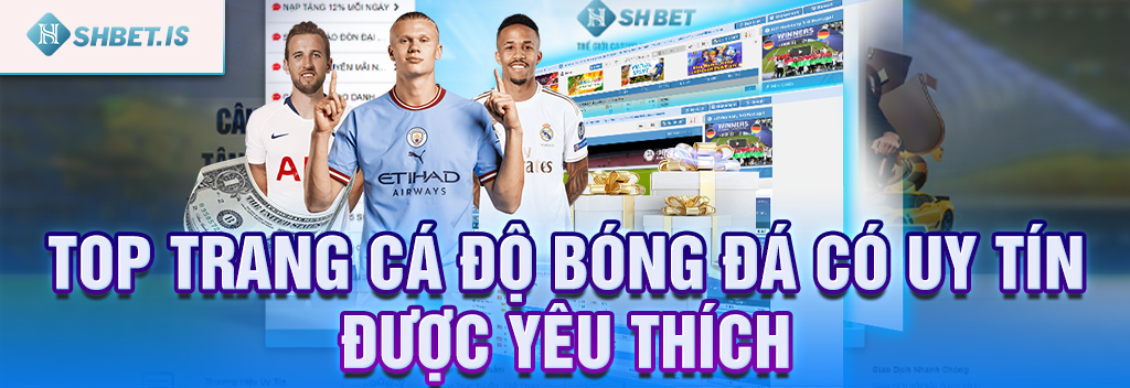 Top Trang Cá Độ Bóng Đá Uy Tín Nhất Được Yêu Thích Hiện Nay 2 TOP trang cá độ bóng đá có uy tín được yêu thích