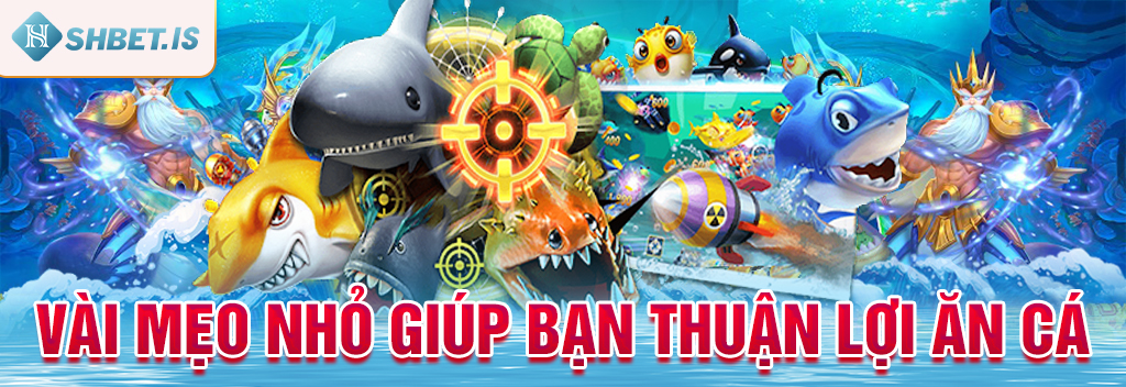 Game Bắn Cá Liên Minh Trò Chơi Cực Vui Nhận Quà Cực Đã 3 Vài mẹo nhỏ giúp bạn thuận lợi ăn cá