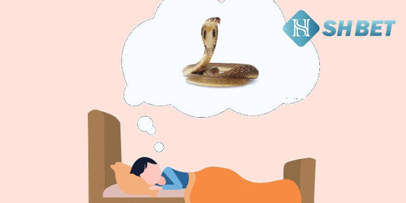 Nằm Mơ Thấy Rắn mang điềm gì và đánh con số nào? 3 Tìm hiểu và giải mã ý nghĩa chi tiết của giấc mơ thấy Rắn